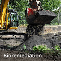 Soil remediation - bioremediation