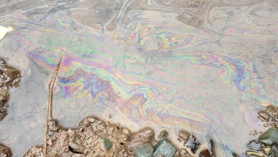 Oil Spill / Oil Leak – What should you do…?