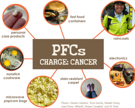 What are Perflourinated Compounds (PFCs)?