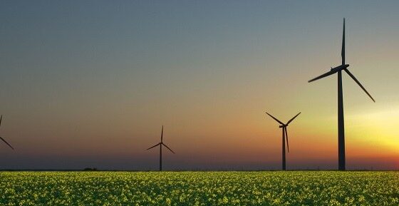 Why Do We Need Renewable Energy?